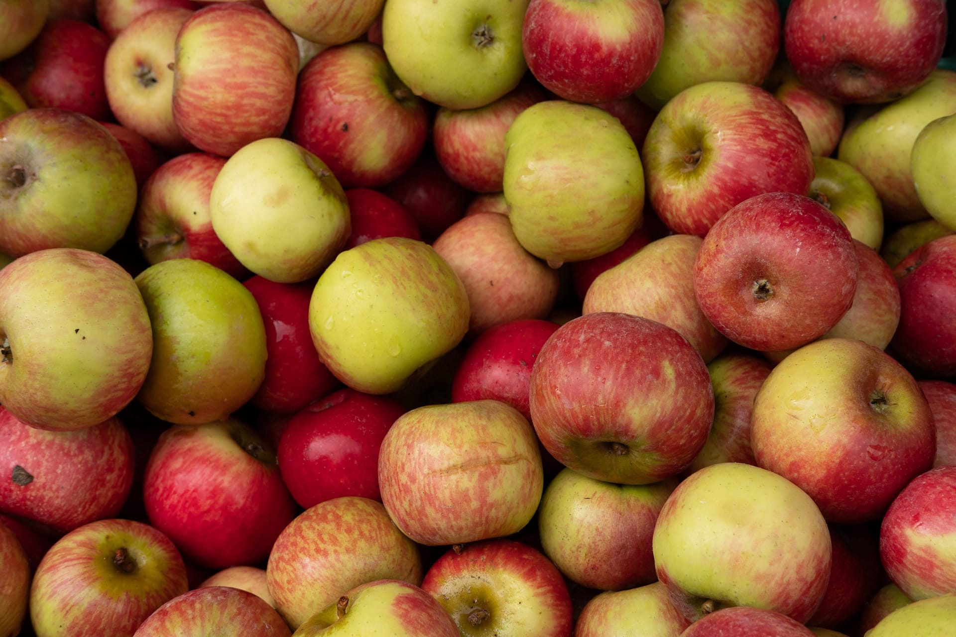 Apple Varietals  Manzana Products Co., Inc.